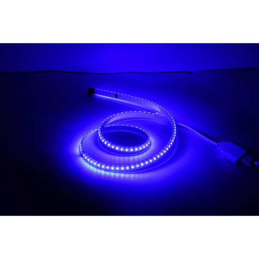 CINTA LED ECO 60 LED 5050 8MM 100 CM